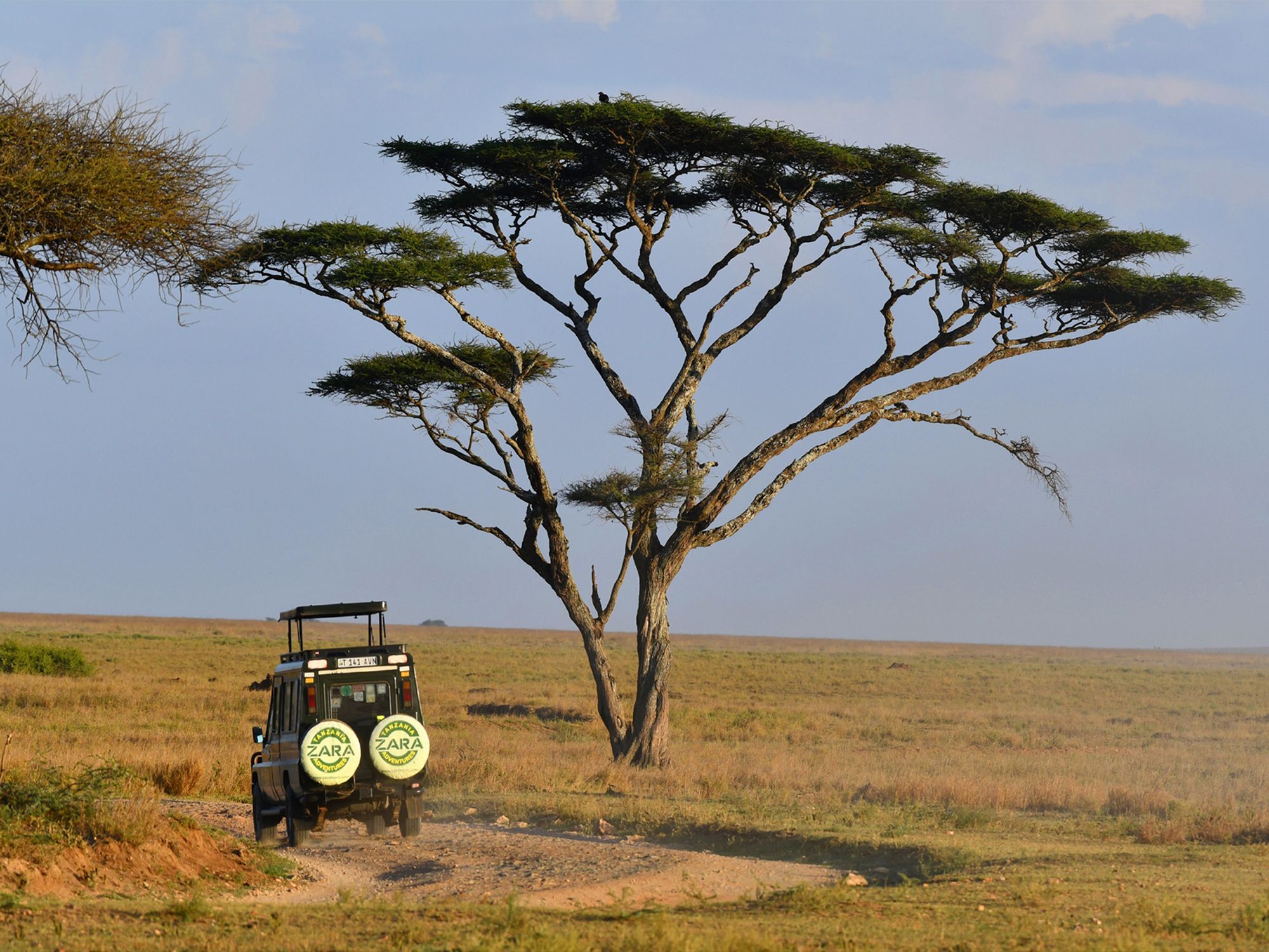 Готель Serengeti Wildebeest Camp Екстер'єр фото